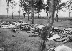 JAV ambasadoriaus Turkijoje Henry Morgenthau nuotrauka - nužudytų armėnų kūnai, 1915