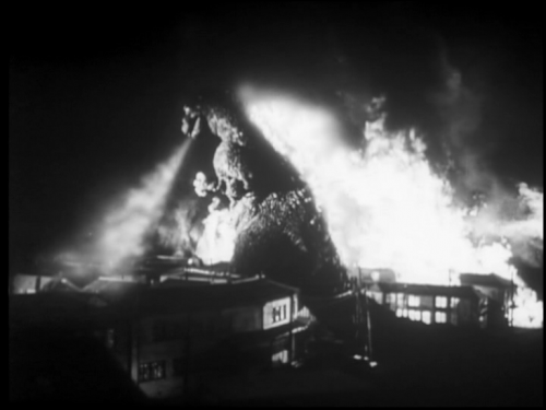 Gojira arba Godzilla filmas, 1954 metai