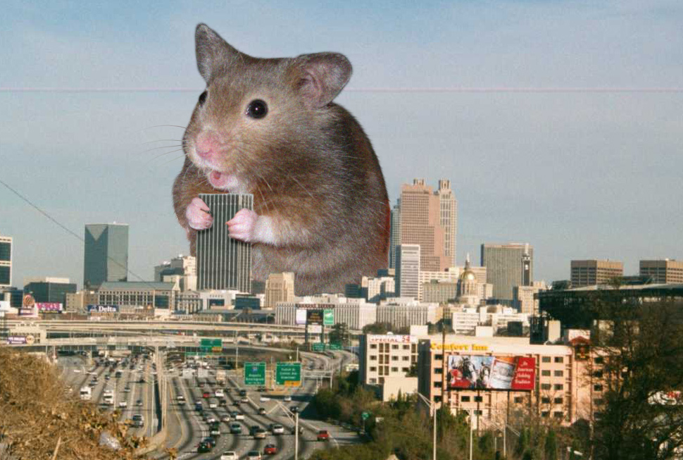 Gigantiškas žiurkėnas ėda pastatus Atlantos mieste, JAV