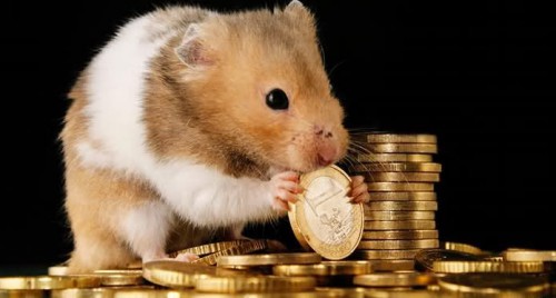 Žiurkėnas ir pinigai