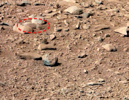 Rokiškis Rabinovičius nufotografuotas Marse